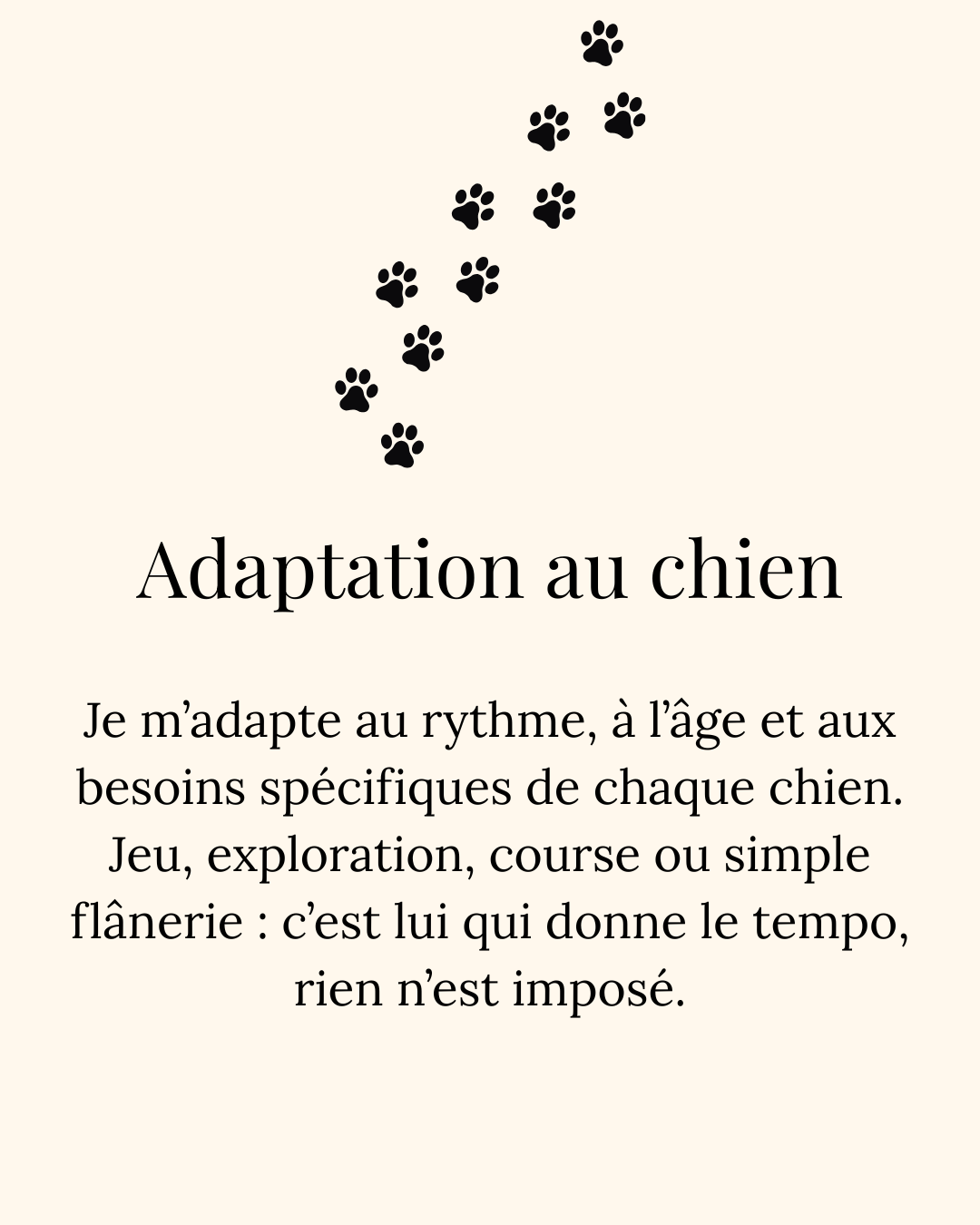 Visuel illustrant l’adaptation au chien : empreintes de pattes, fond vert et beige, texte expliquant que chaque sortie est adaptée au rythme, à l’âge et aux besoins spécifiques de chaque chien