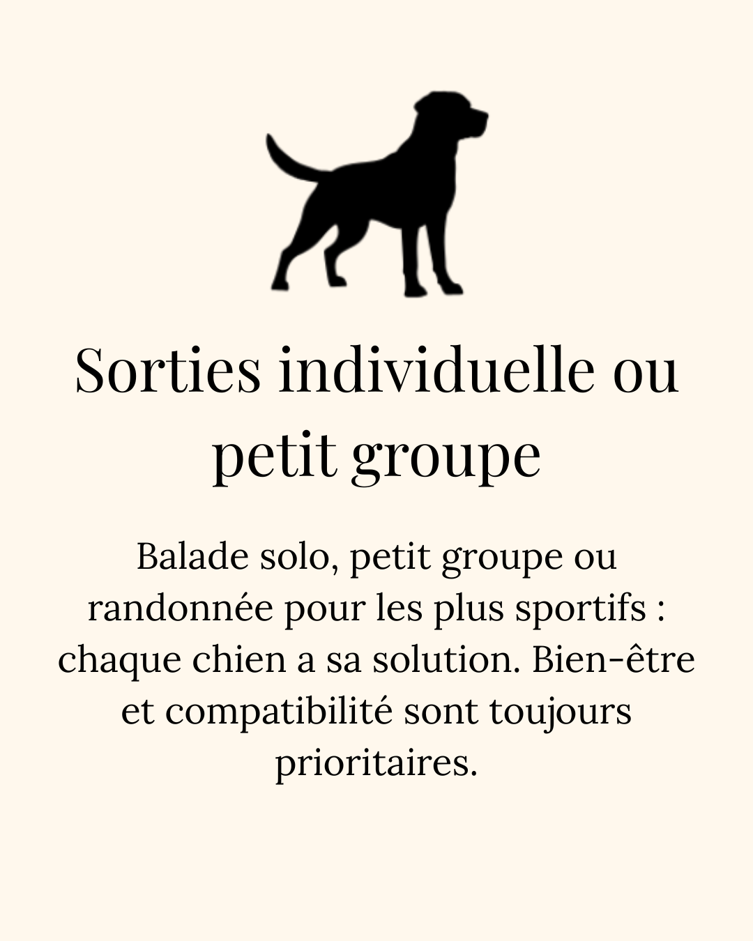 Carte illustrée avec une icône de chien noir sur fond vert et beige, texte présentant les sorties en solo ou en petit groupe adaptées à chaque chien, avec priorité au bien-être et à la compatibilité